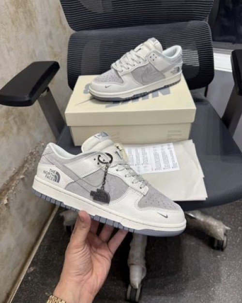 Nikee SB Dunk Low X North Face 2025