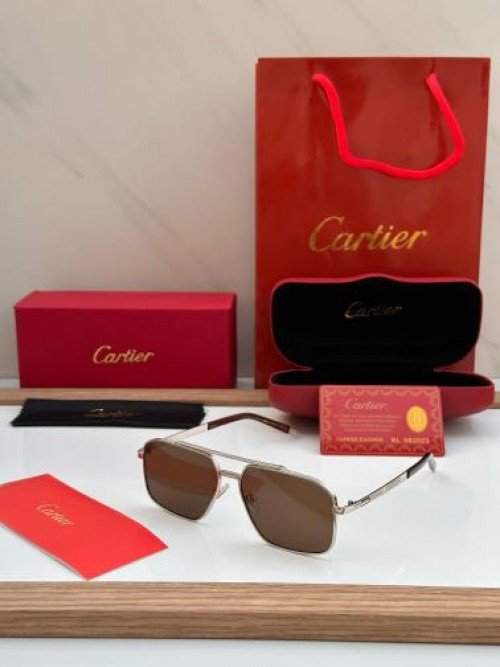 CARTIE_R SUNGLAS