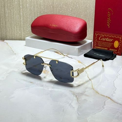 CARTIE_R SUNGLAS
