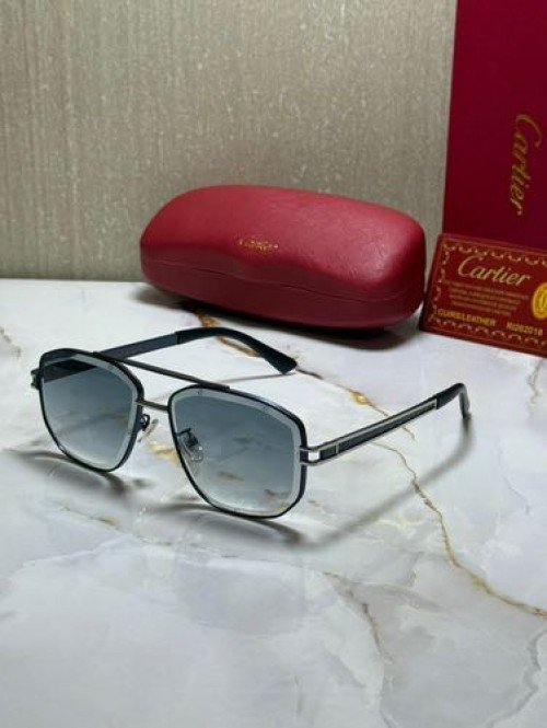 CARTIE_R SUNGLAS