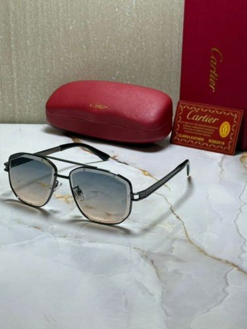 CARTIE_R SUNGLAS