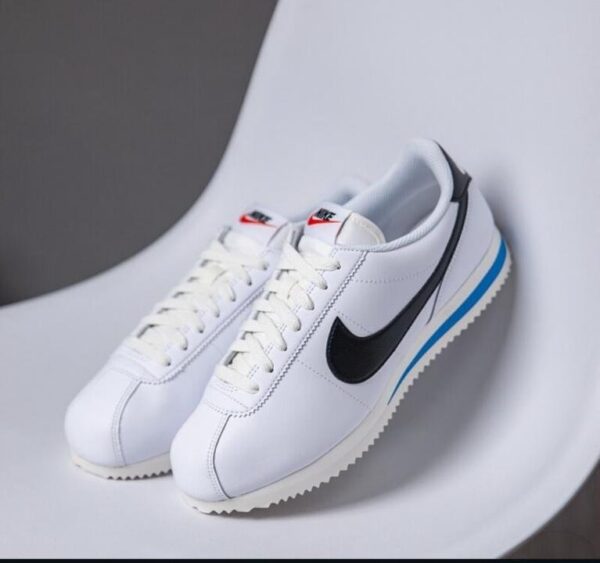 Nik.e Cortez TXT White Blue