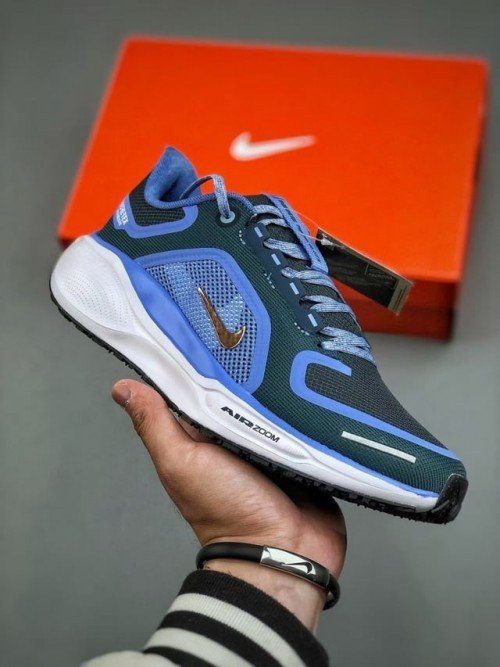 Nik.ee Air Zoom Pegasus 41 Gore Tex Cobalt 433