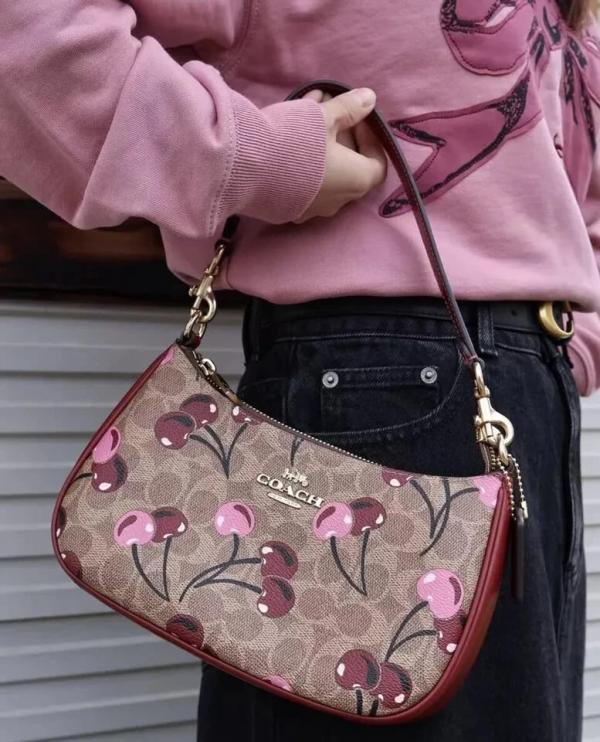 Coach_Teri_Shoulder_Bag_In_Signature_Canvas_Cherry_Print_OG_&_Dust_Bag_66123